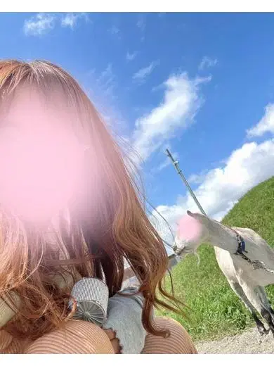 ひまわり