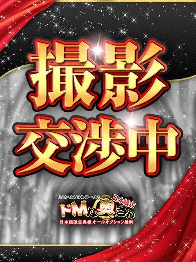 カエデ