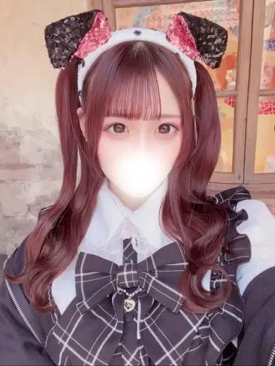 ちわわ