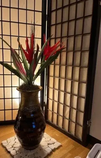 君島楓