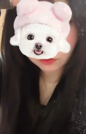 まい